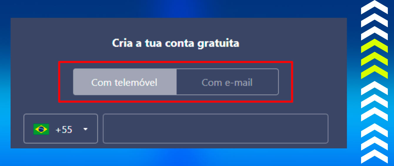 336bet com
