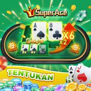 333bet download